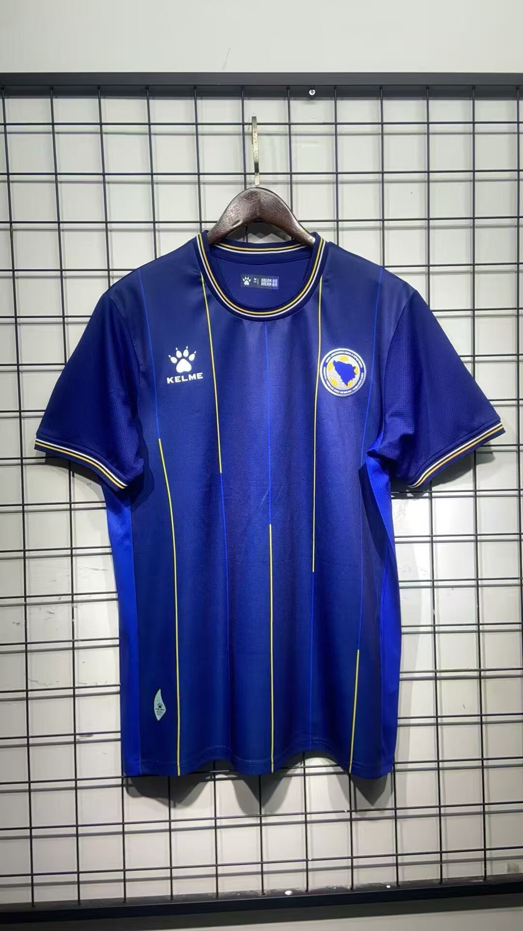 Bosnia World Cup 26 Home